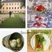 ecochicweddings