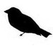 luckybirdstudio