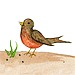 BirdiesCozyNest