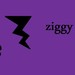 ziggyiner