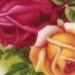 vbellejewelry