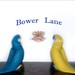 BowerLane