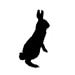 OhHelloRabbit