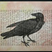 CrowBiz