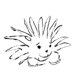 porcupineboutique