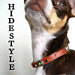 HideStyle