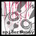 spiderbunny