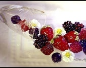 Study in Lampwork Berries 5 tuts in 1 By Laurie D