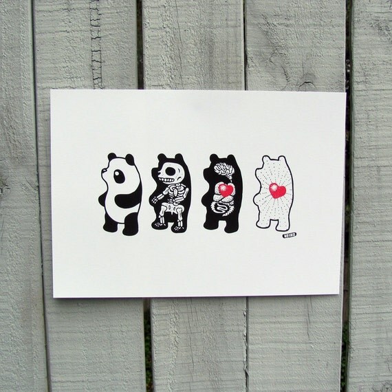 Panda Anatomy Print