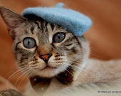 Cat French Beret - Wool Hand Felted Mini Beret for Pets