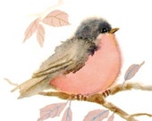 Pastel Pink Bird Watercolor Painting Print