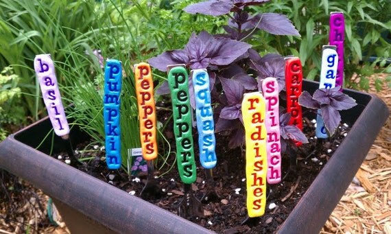 Pick 5-Vegetable and Herb Garden Markers