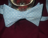 Baby Blue and White Polka Dot Bowtie