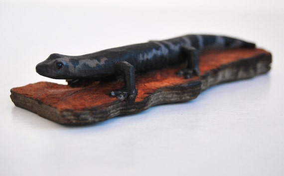 Marbled Salamander (Ambystoma opacum) wood carving / sculpture, handcarved from driftwood