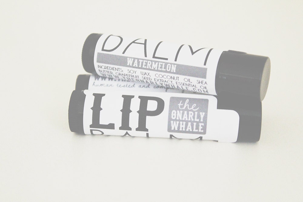 watermelon lip balm from the gnarly whale