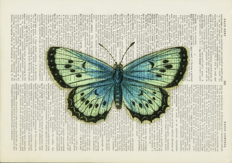 Зеленые страницы бабочки читать