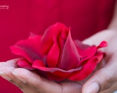 Romantic Red Rose Hair Flower