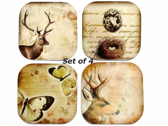 Butterfly Coaster Deer Coasters Bird's Nest Coaster by missbohemia