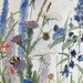 Garden Nature Art Watercolor Painting Botanical Wildflowers by Laurie Rohner.