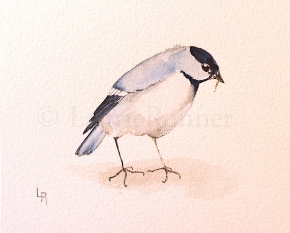 Nature Art Watercolor Original Painting Woodland Bird by Laurie Rohner Watercolor Nature Original Painting Woodland Bird Chickadee by Laurie Rohner