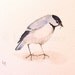 Watercolor Nature Original Painting Woodland Bird Chickadee by Laurie Rohner