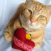 BaxCatandCo