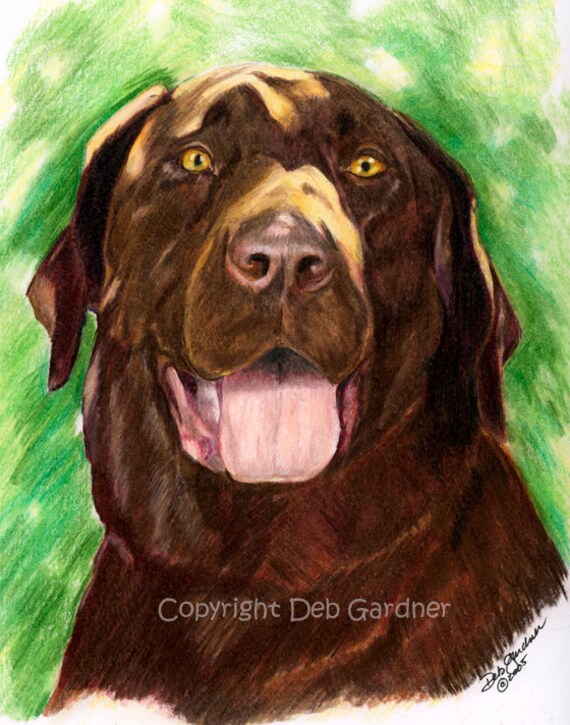 Dog Art Print Chocolate Labrador Dallas Fine Art von waghappyart